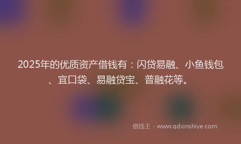 2025年的优质资产借钱有：闪贷易融、小鱼钱包、宜口袋、易融贷宝、普融花等。