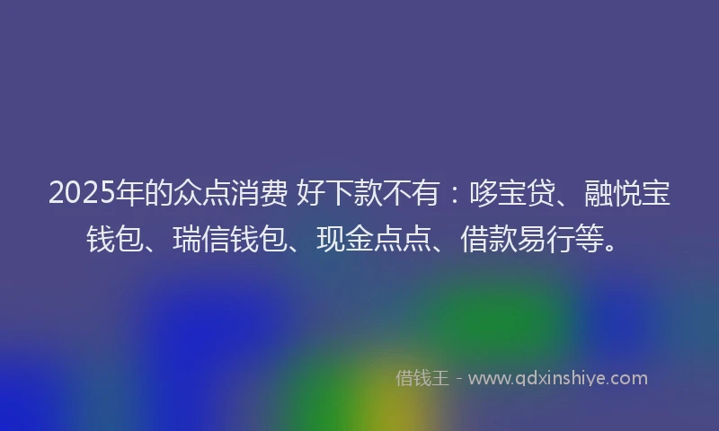2025年的众点消费 好下款不有：哆宝贷、融悦宝钱包、瑞信钱包、现金点点、借款易行等。