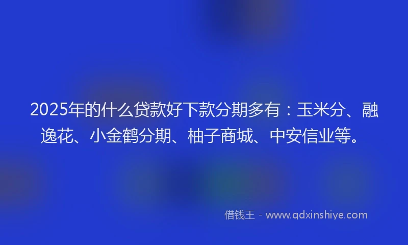 2025年的什么贷款好下款分期多有：玉米分、融逸花、小金鹤分期、柚子商城、中安信业等。