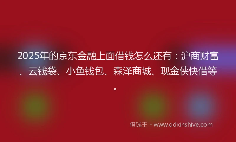 2025年的京东金融上面借钱怎么还有：沪商财富、云钱袋、小鱼钱包、森泽商城、现金侠快借等。