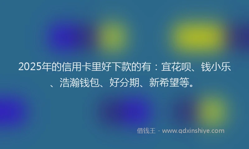 2025年的信用卡里好下款的有：宜花呗、钱小乐、浩瀚钱包、好分期、新希望等。
