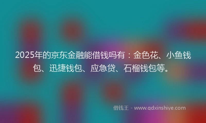 2025年的京东金融能借钱吗有：金色花、小鱼钱包、迅捷钱包、应急贷、石榴钱包等。