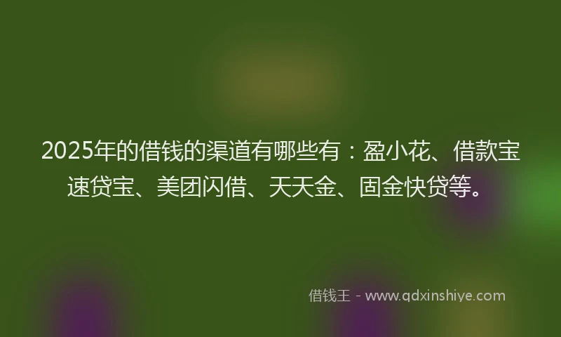 2025年的借钱的渠道有哪些有：盈小花、借款宝速贷宝、美团闪借、天天金、固金快贷等。
