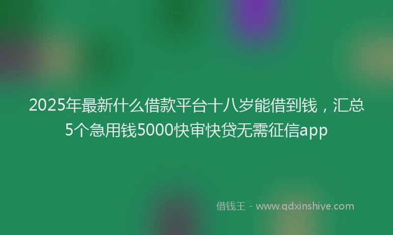 2025年最新什么借款平台十八岁能借到钱，汇总5个急用钱5000快审快贷无需征信app