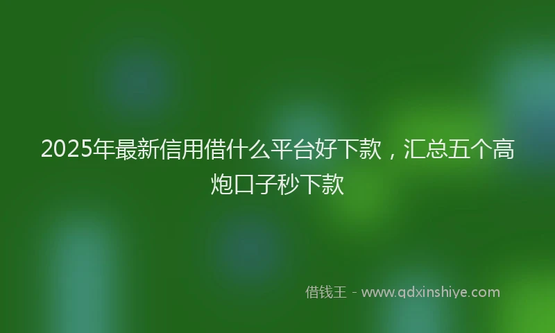 2025年最新信用借什么平台好下款，汇总五个高炮口子秒下款