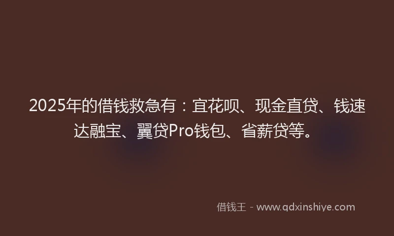 2025年的借钱救急有：宜花呗、现金直贷、钱速达融宝、翼贷Pro钱包、省薪贷等。