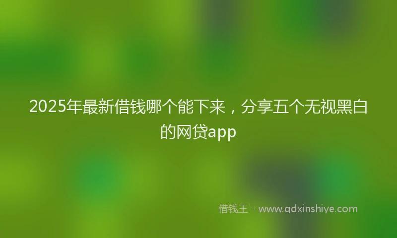 2025年最新借钱哪个能下来，分享五个无视黑白的网贷app