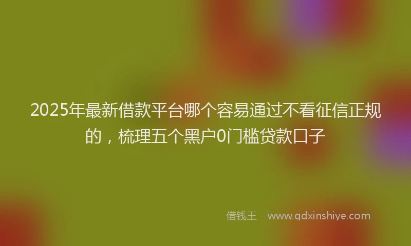 2025年最新借款平台哪个容易通过不看征信正规的，梳理五个黑户0门槛贷款口子