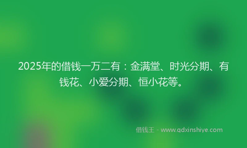2025年的借钱一万二有：金满堂、时光分期、有钱花、小爱分期、恒小花等。