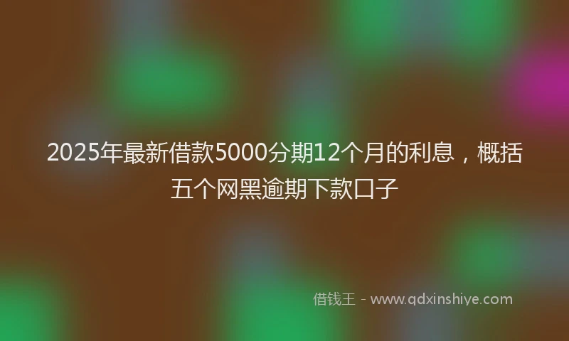2025年最新借款5000分期12个月的利息，概括五个网黑逾期下款口子