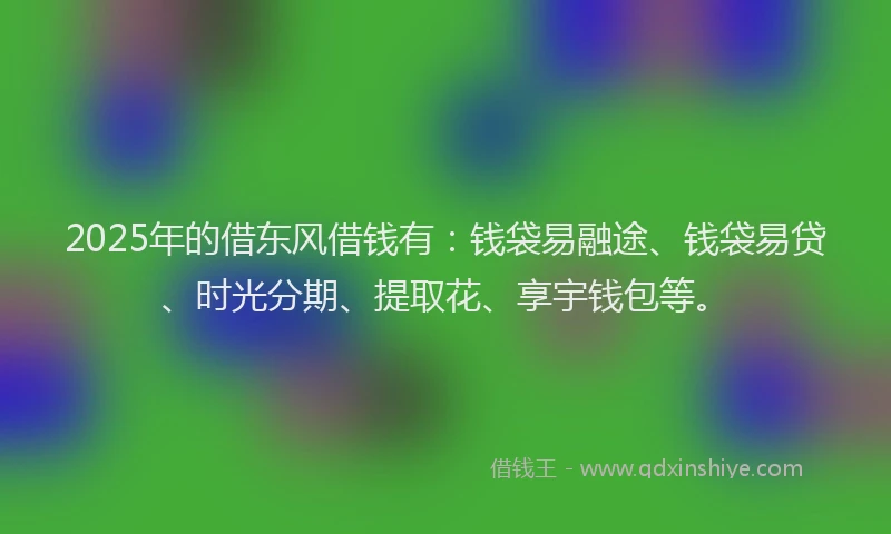 2025年的借东风借钱有：钱袋易融途、钱袋易贷、时光分期、提取花、享宇钱包等。