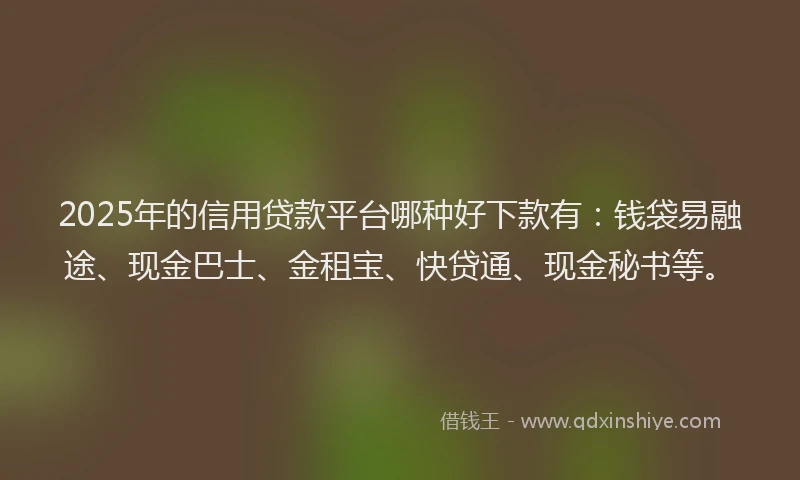 2025年的信用贷款平台哪种好下款有：钱袋易融途、现金巴士、金租宝、快贷通、现金秘书等。