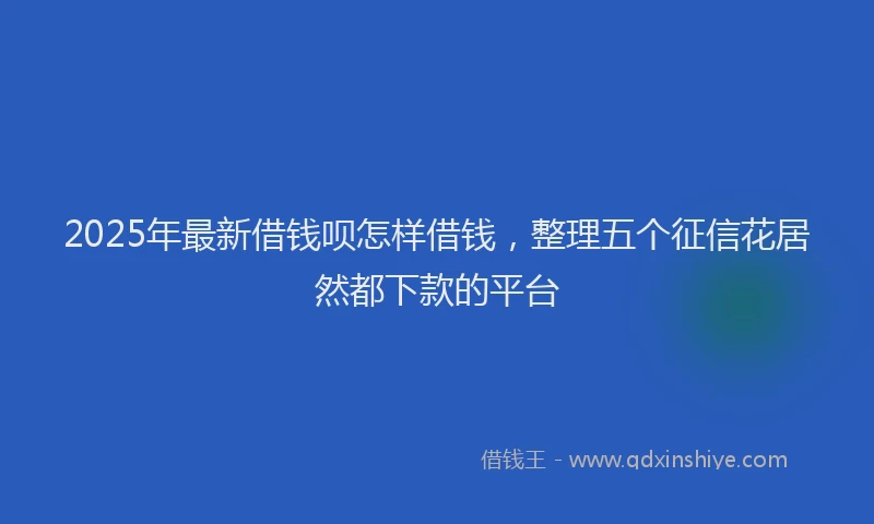 2025年最新借钱呗怎样借钱，整理五个征信花居然都下款的平台