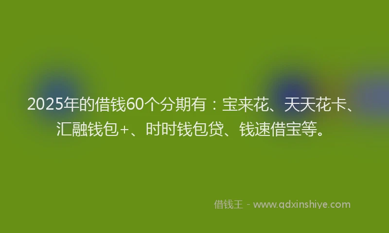 2025年的借钱60个分期有：宝来花、天天花卡、汇融钱包+、时时钱包贷、钱速借宝等。