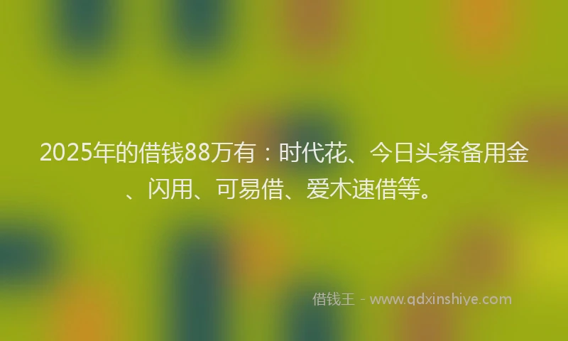 2025年的借钱88万有：时代花、今日头条备用金、闪用、可易借、爱木速借等。