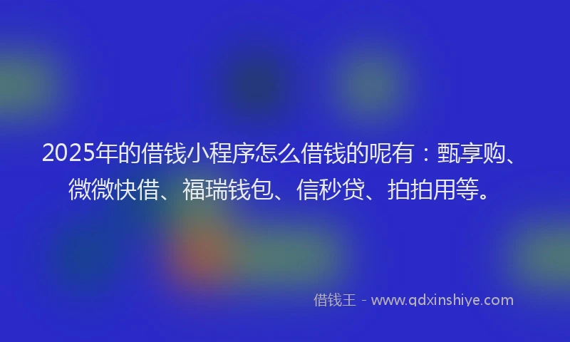 2025年的借钱小程序怎么借钱的呢有：甄享购、微微快借、福瑞钱包、信秒贷、拍拍用等。