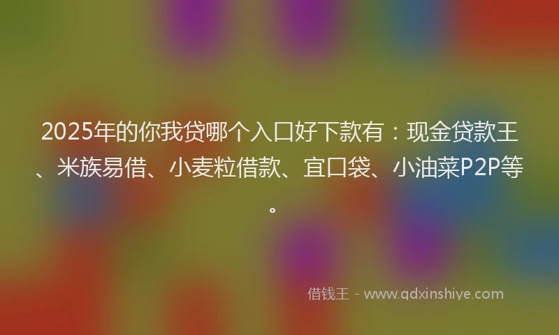 2025年的你我贷哪个入口好下款有：现金贷款王、米族易借、小麦粒借款、宜口袋、小油菜P2P等。