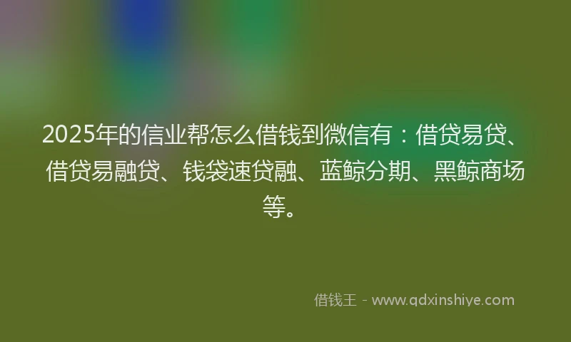 2025年的信业帮怎么借钱到微信有：借贷易贷、借贷易融贷、钱袋速贷融、蓝鲸分期、黑鲸商场等。