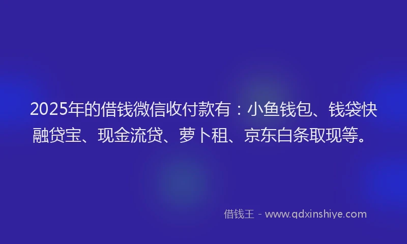 2025年的借钱微信收付款有：小鱼钱包、钱袋快融贷宝、现金流贷、萝卜租、京东白条取现等。