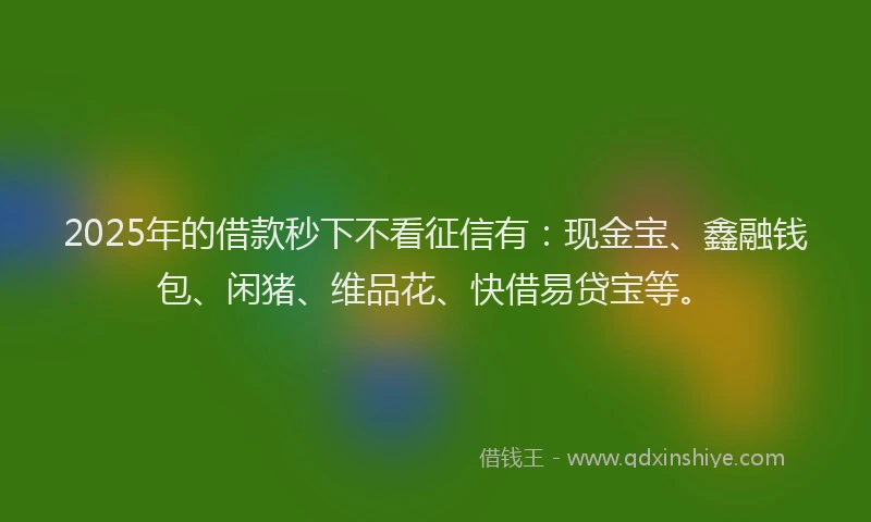 2025年的借款秒下不看征信有：现金宝、鑫融钱包、闲猪、维品花、快借易贷宝等。