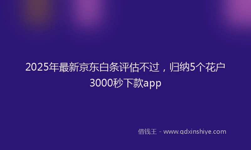 2025年最新京东白条评估不过，归纳5个花户3000秒下款app