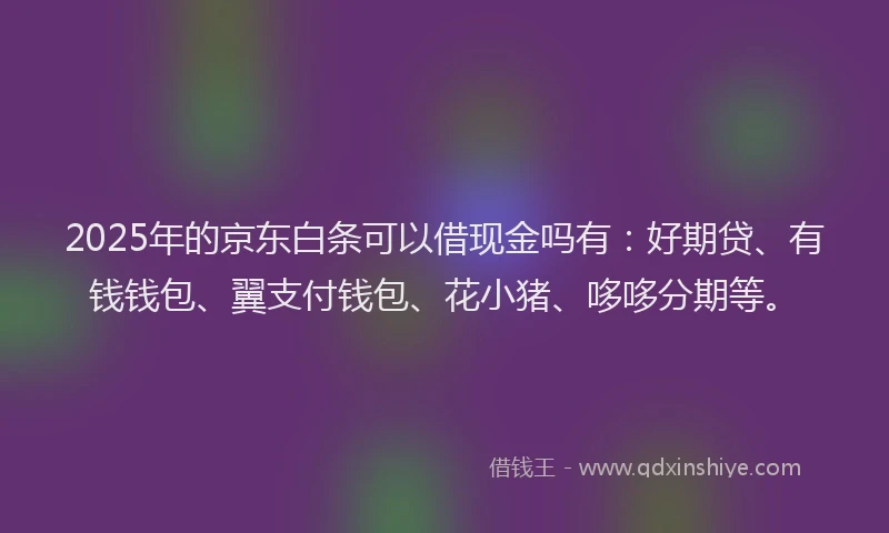 2025年的京东白条可以借现金吗有：好期贷、有钱钱包、翼支付钱包、花小猪、哆哆分期等。