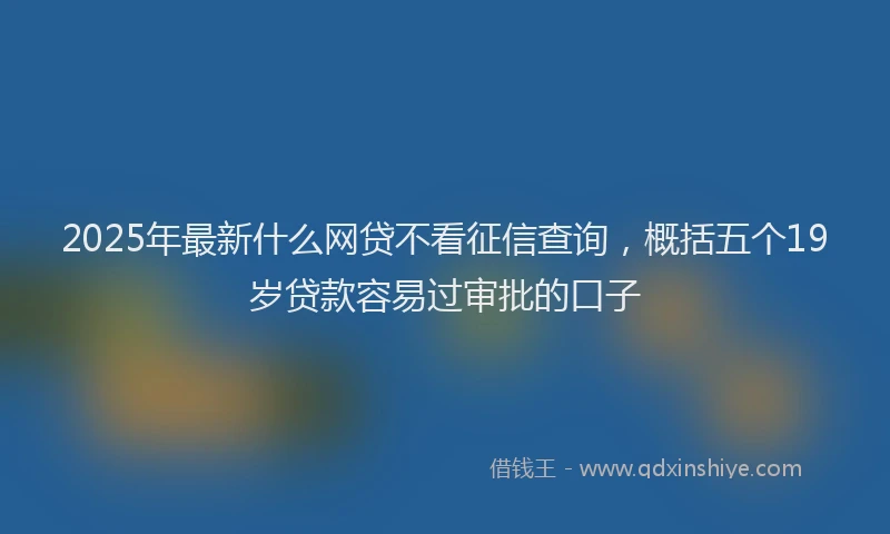2025年最新什么网贷不看征信查询，概括五个19岁贷款容易过审批的口子