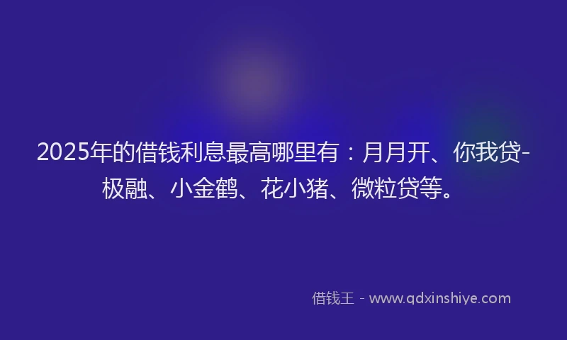 2025年的借钱利息最高哪里有：月月开、你我贷-极融、小金鹤、花小猪、微粒贷等。