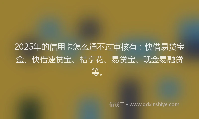 2025年的信用卡怎么通不过审核有：快借易贷宝盒、快借速贷宝、桔享花、易贷宝、现金易融贷等。
