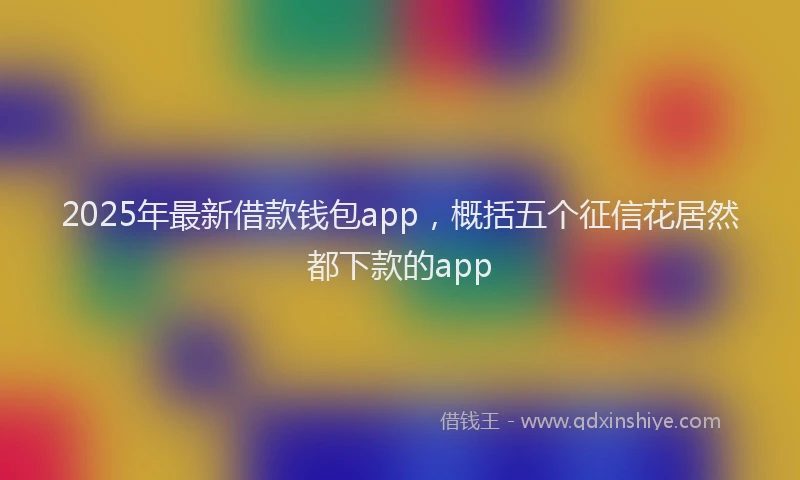 2025年最新借款钱包app，概括五个征信花居然都下款的app