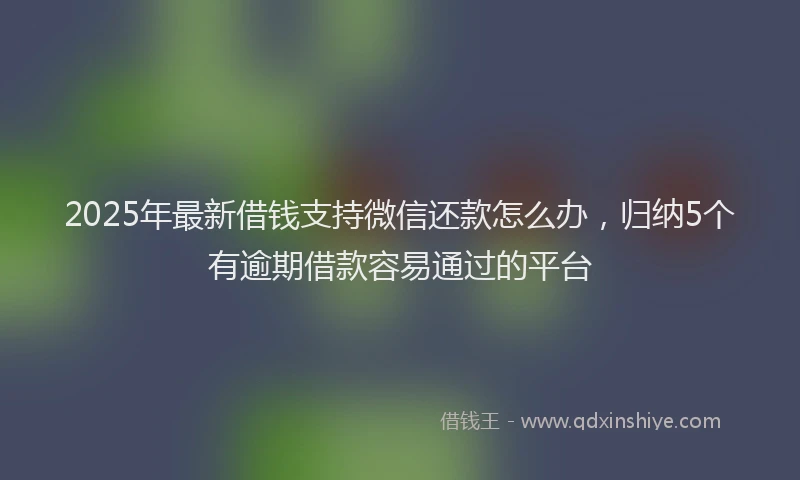 2025年最新借钱支持微信还款怎么办，归纳5个有逾期借款容易通过的平台