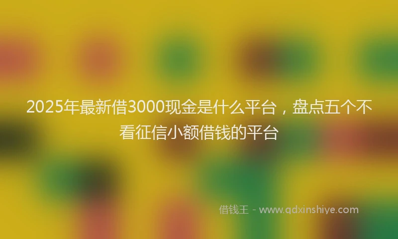 2025年最新借3000现金是什么平台，盘点五个不看征信小额借钱的平台