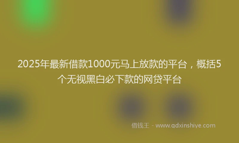 2025年最新借款1000元马上放款的平台，概括5个无视黑白必下款的网贷平台
