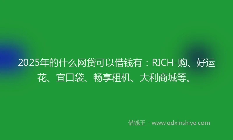 2025年的什么网贷可以借钱有：RICH-购、好运花、宜口袋、畅享租机、大利商城等。