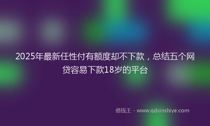 2025年最新任性付有额度却不下款，总结五个网贷容易下款18岁的平台