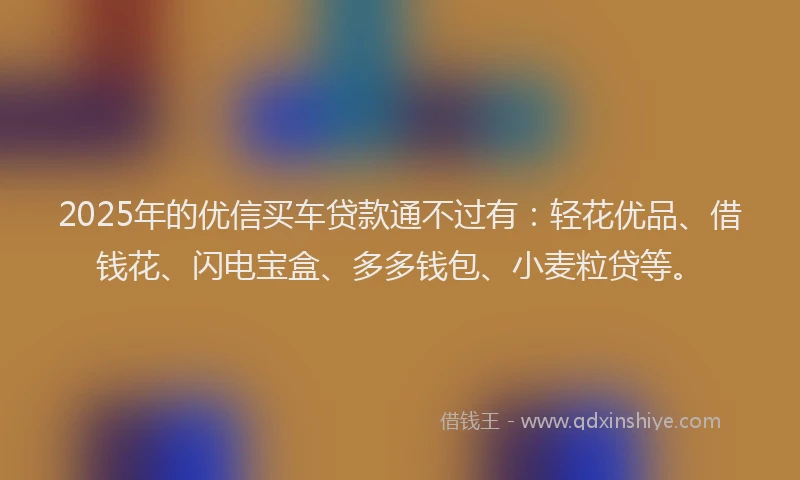2025年的优信买车贷款通不过有：轻花优品、借钱花、闪电宝盒、多多钱包、小麦粒贷等。