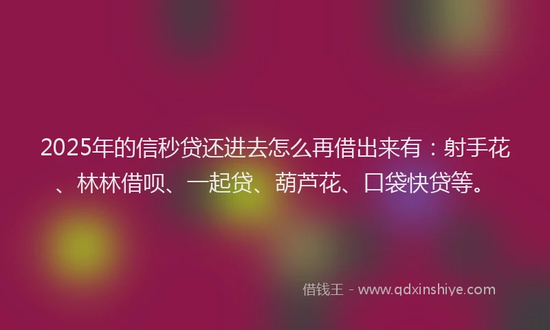 2025年的信秒贷还进去怎么再借出来有：射手花、林林借呗、一起贷、葫芦花、口袋快贷等。