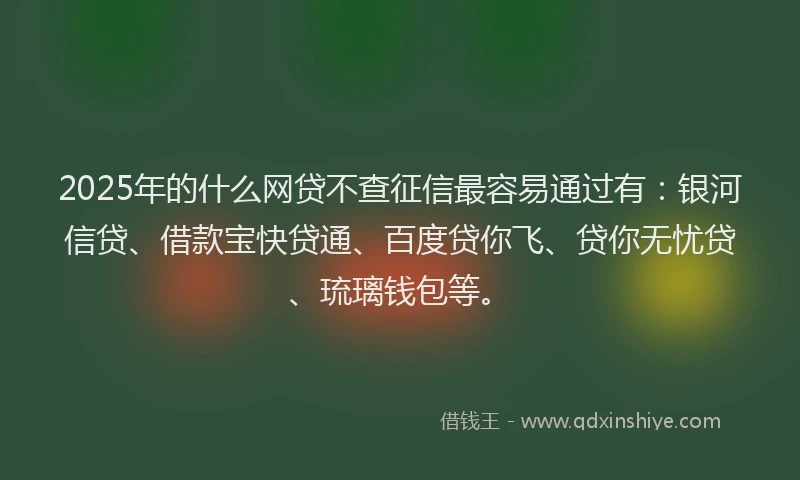 2025年的什么网贷不查征信最容易通过有：银河信贷、借款宝快贷通、百度贷你飞、贷你无忧贷、琉璃钱包等。