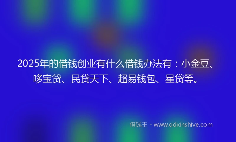 2025年的借钱创业有什么借钱办法有：小金豆、哆宝贷、民贷天下、超易钱包、星贷等。