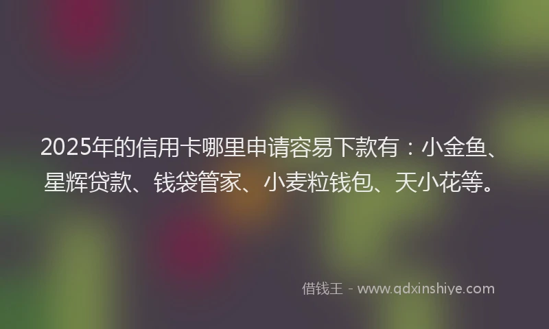 2025年的信用卡哪里申请容易下款有：小金鱼、星辉贷款、钱袋管家、小麦粒钱包、天小花等。