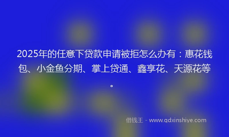 2025年的任意下贷款申请被拒怎么办有：惠花钱包、小金鱼分期、掌上贷通、鑫享花、天源花等。