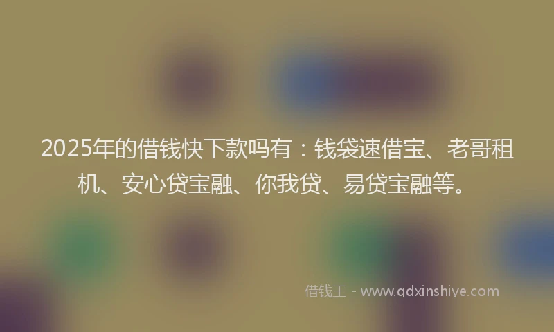 2025年的借钱快下款吗有：钱袋速借宝、老哥租机、安心贷宝融、你我贷、易贷宝融等。