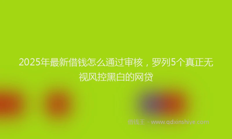 2025年最新借钱怎么通过审核，罗列5个真正无视风控黑白的网贷