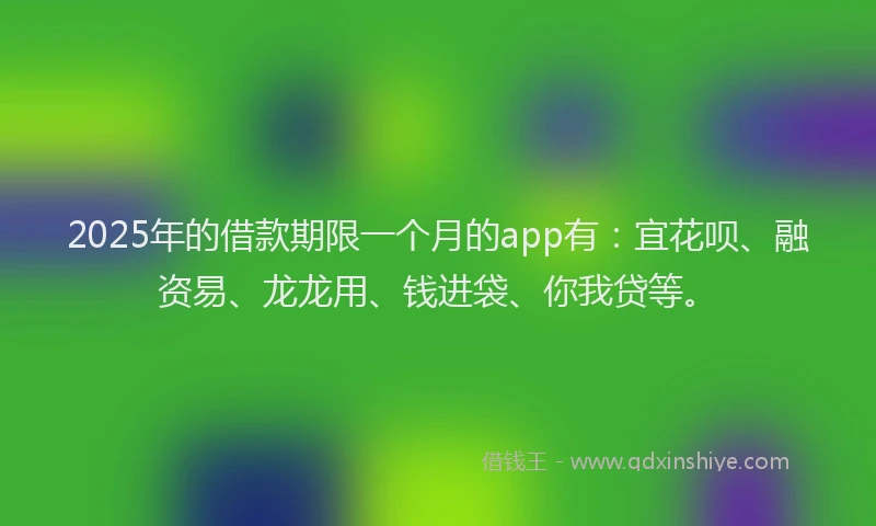 2025年的借款期限一个月的app有：宜花呗、融资易、龙龙用、钱进袋、你我贷等。