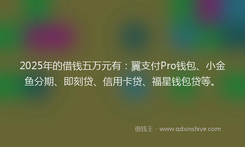2025年的借钱五万元有：翼支付Pro钱包、小金鱼分期、即刻贷、信用卡贷、福星钱包贷等。