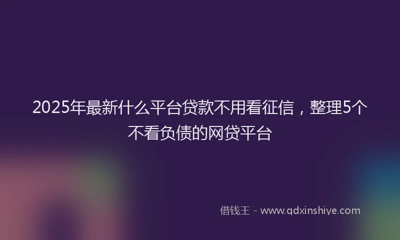 2025年最新什么平台贷款不用看征信，整理5个不看负债的网贷平台