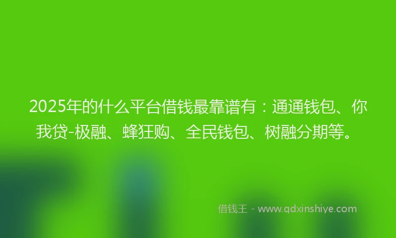 2025年的什么平台借钱最靠谱有：通通钱包、你我贷-极融、蜂狂购、全民钱包、树融分期等。