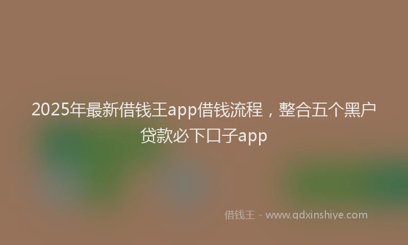 2025年最新借钱王app借钱流程，整合五个黑户贷款必下口子app