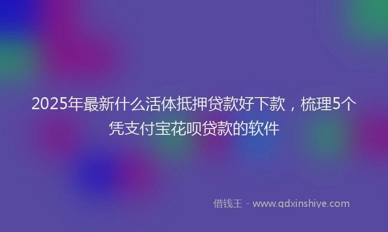 2025年最新什么活体抵押贷款好下款，梳理5个凭支付宝花呗贷款的软件