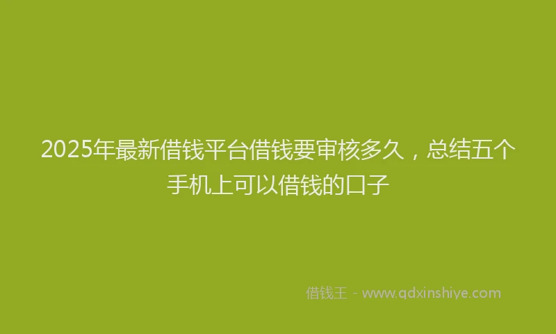 2025年最新借钱平台借钱要审核多久，总结五个手机上可以借钱的口子